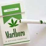 Marijuana cigarettes by Marlboro